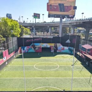 Cancha Constituyentes