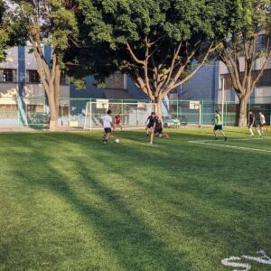 Cancha de Fut 7